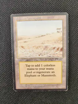 Elephant Graveyard Arabian Nights Regular for sale online - Image 1
