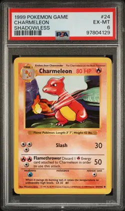 1999 Pokemon Game Base Set CHARMELEON Shadowless Card #24 PSA 6 EX-MT Rare! - Image 1