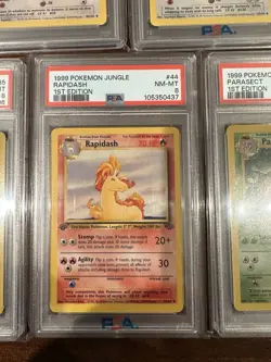 Pokemon 5 Card PSA 8 Lot - Image 5