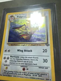 Pidgeot Jungle 8/64 Holo Rare Card Pokemon TCG - Image 3