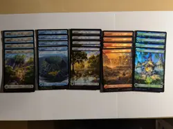 20 x Chocobo Track Foil Full Art Basic Lands Final Fantasy MtG 4 of each Lot - Image 1