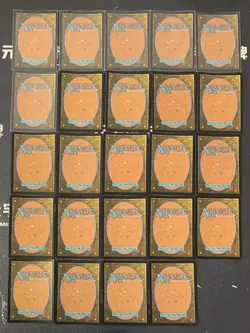 Magic MTG Rent Is Due Spider-Punk Foil Borderless Marvel Spider-Man Lot*24 - Image 2