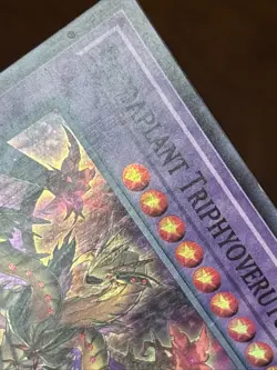 Predaplant Triphyoverutum LED5-EN045 Immortal Destiny 1st Edition Super Rare LP - Image 3