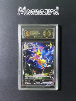 APH Black 10* Pokemon Chinese Jolteon VMAX Full Art CSHC 009/009 - Image 1