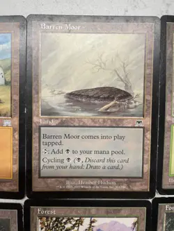 Magic the Gathering Basic Land Pack Forest Mountain Plains Island Daru Encapment - Image 3