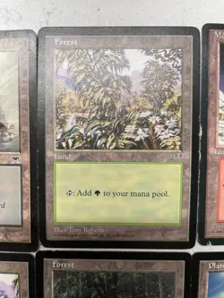 Magic the Gathering Basic Land Pack Forest Mountain Plains Island Daru Encapment - Image 4
