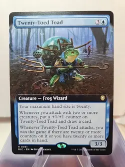 Twenty-Toed Toad (Extended Art) Commander: Bloomburrow Regular - Image 1