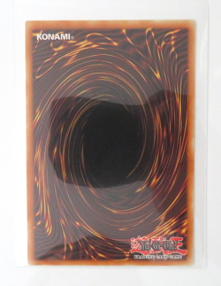 Yugioh Card Curse Of The Ancient Turtle SUDA-EN083 1st Edition NM - Image 2