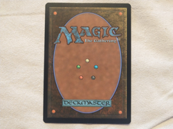 Virtue of Loyalty - Wilds of Eldraine - MTG Magic the Gathering - Image 2