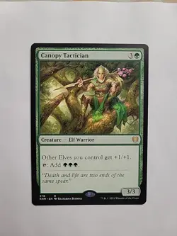 MTB - Canopy Tactician Kaldheim Regular Rare #378 - Image 1