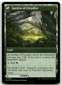 Disciple of Freyalise #250 MTG Modern Horizons 3 NM X1 - Image 2
