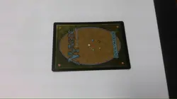 MTG Tidus, Yuna's Guardian - Borderless, Commander - Image 2