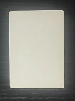 Magic MTG Italian Revised Gray Ogre Artist Proof Near Mint - Only 50 Exist! - Image 2