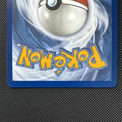 Pokemon Squirtle 148/142 Stellar Crown - Illustration Rare - NM - Image 4