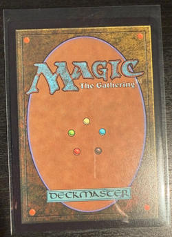 Snapcaster Mage (Borderless) Chocobo Track Foil - Final Fantasy MTG FIC 0469 NM - Image 2