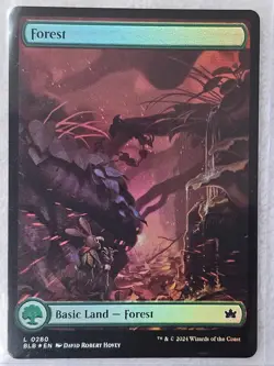 MTG Forest (0280) FOIL - Bloomburrow (BLB) Magic Gathering Card LAND NM - Image 4