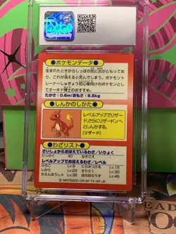 1997 Pokemon Japanese Charmander Meiji Promo Holo Foil CGC 7.5 + Squirtle Cgc 3 - Image 5