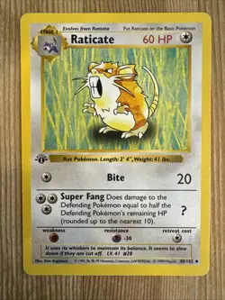 Raticate 1st Edition Base Set Shadowless 40/102 Pokemon - HP - Image 1