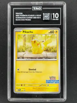 Pikachu 214 Illustration Contest Pokemon Black Star Promo 2025 TAG 10 🔥🔥🔥 - Image 1