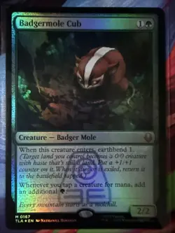 Badgermole Cub Foil NM MTG Avatar 0167 - Image 1