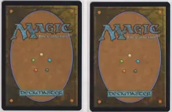 MTG Terrasymbiosis (Borderless) Edge of Eternities Foil x2 - Image 2