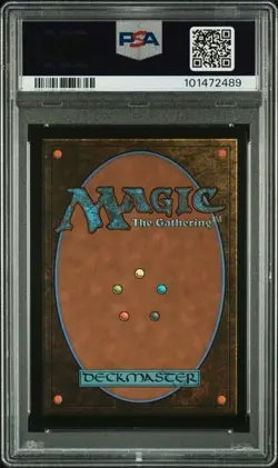 2024 MTG Bloomburrow Plains FOIL FULL ART #262 PSA 9 MINT - Image 2