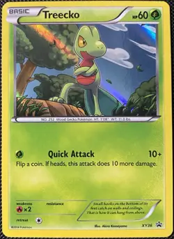 Treecko XY36 XY Holo Promo (See Photos) Pokemon Card - Image 1
