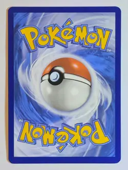 Raboot 147/142 Illustration Rare Stellar Crown Pokemon TCG & Bonus Card - Image 3