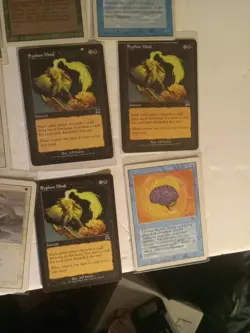 Magic The Gathering Wiz Coast Collection 1000 Plus Card Lot Rares Lands Ect.... - Image 5