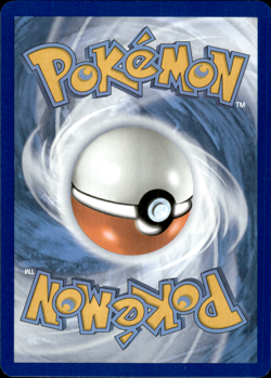 Raboot - Illustration Rare - 147/142 - Stellar Crown - NM - Pokemon TCG - Image 2