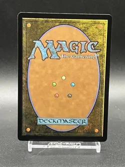 Abandoned Air Temple (Foil) 0263 MTG Avatar: The Last Airbender - M/NM - Image 2
