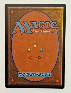 MTG Sylvan Library - Fifth Edition 1997 (LP) - Image 2