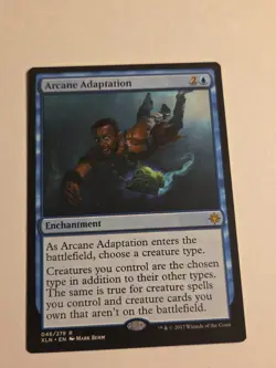 Arcane Adaptation X1 XLN MTG Ixalan - Image 1