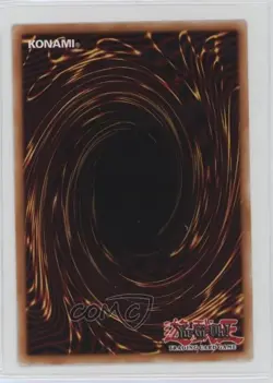 Silent Paladin 1st Ed. YuGiOh Duelist Pack: Rivals of the Pharaoh #DPRP-EN003 - Image 2