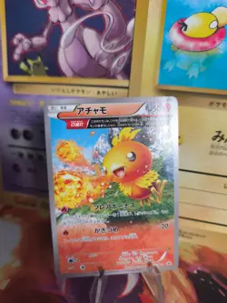 Pokemon Karte Card Torchic Flemmli Fullart XY Promo Black Star japanese Exc+ - Image 1