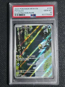 Pokemon Psyduck 175/165 Scarlet & Violet 151 Illustration Rare GEM MINT PSA 10 - Image 1