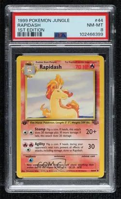 Rapidash 1st Ed. Pokemon Jungle PSA 8 1999 - Image 1