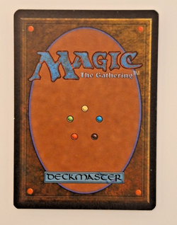 MTG Karplusan Forest - Ice Age 1995 (LP) - Image 2