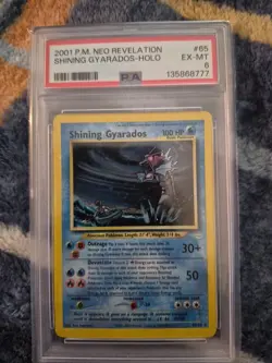 Pokemon TCG Shining Gyarados Holo Neo Revelation Card 65/64 Secret Rare - Image 1