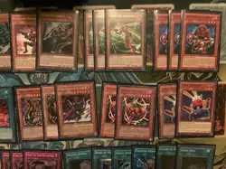 Inzektor Deck, REDU Format, Zetkalibur, Hornet, Dragonfly Yugioh - Image 2