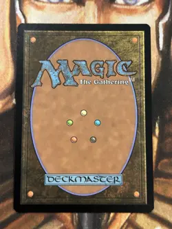 FOIL Multiversal Passage (Borderless) #0206 Marvel MTG Spider-Man - NM/M 🔥 - Image 2