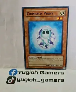 YUGIOH CHRYSALIS PINNY TAEV-EN009 COMMON LIGHT PLAYED - Image 1