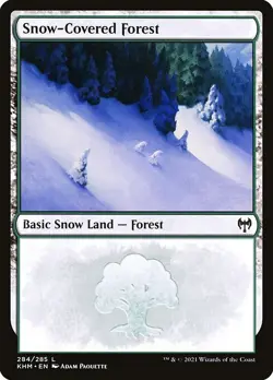 Lot of 20x Snow-Covered Forest #284 - KHM Kaldheim - MTG Magic Basic Land NM - Image 1