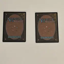 Magic the Gathering Avatar Katara the Fearless - Image 2
