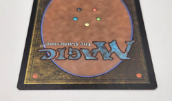 Sister Hospitaller - Near Mint MTG Universes Beyond: Warhammer 40K #141 - Image 4