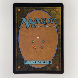 CRIMPED FOIL KEEN-EYED CURATOR SHOWCASE BLOOMBURROW NM MTG - Image 3