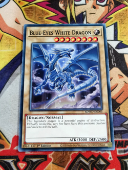 Blue-Eyes White Dragon sdwd-en003 1st Edition (NEW) Common Yu-Gi-Oh! - Image 1