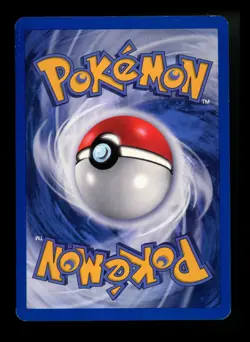 ITALIAN Kangaskhan 5/64 Jungle 2000 Holo Rare WOTC Pokemon Card TCG - Image 2