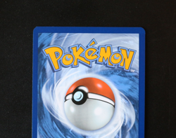 Pokemon Card TCG - Crustle 186/182 - Destined Rivals - Illustration Rare - NM ⭐ - Image 5