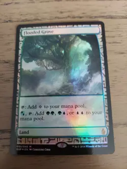Flooded Grove Zendikar Expeditions Foil - Image 1